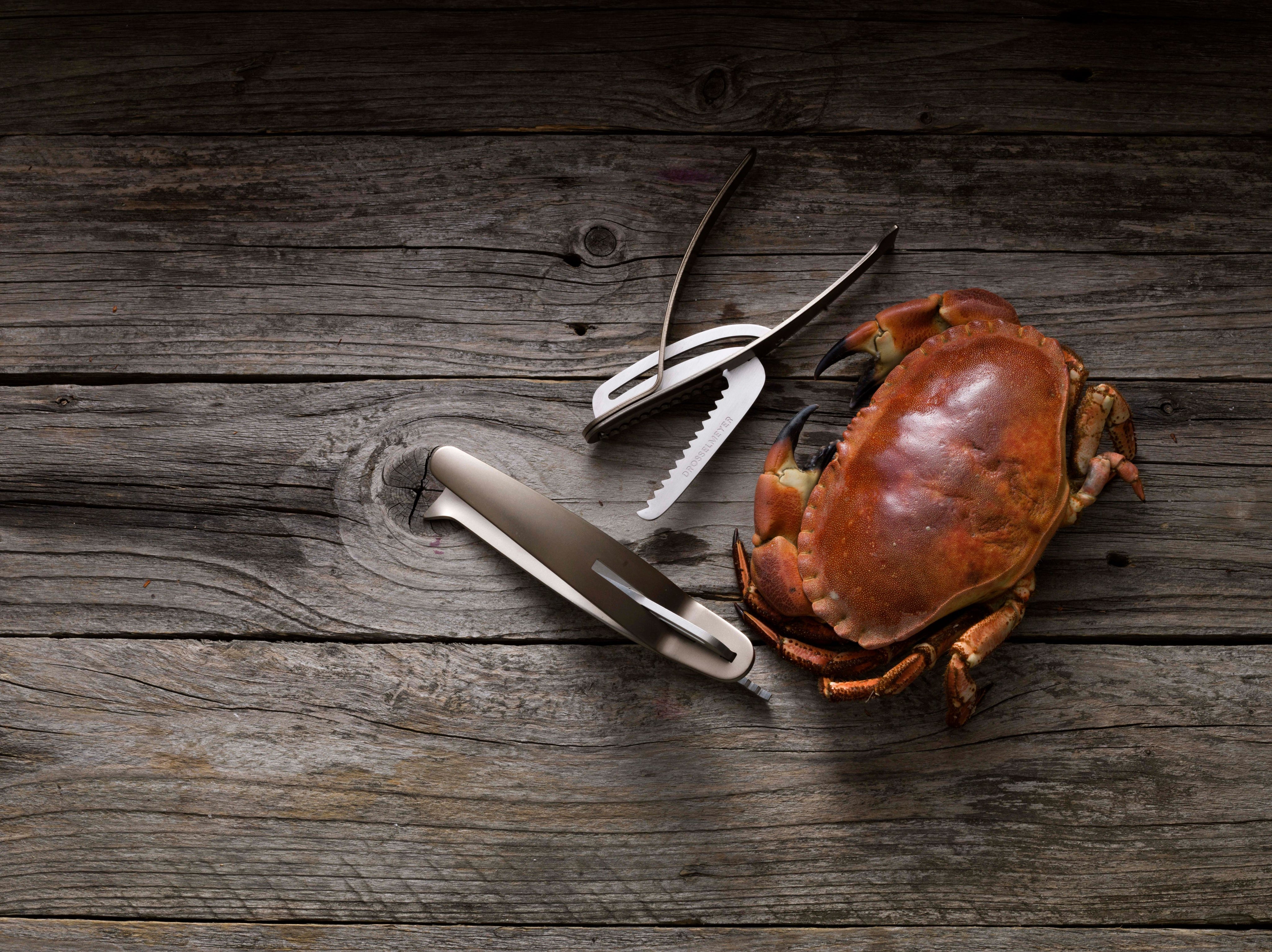 ShellfishCracker_004_1.jpg